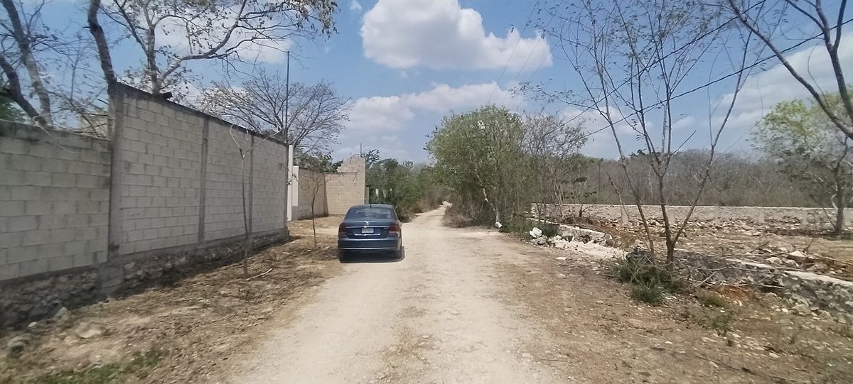 4 de 10