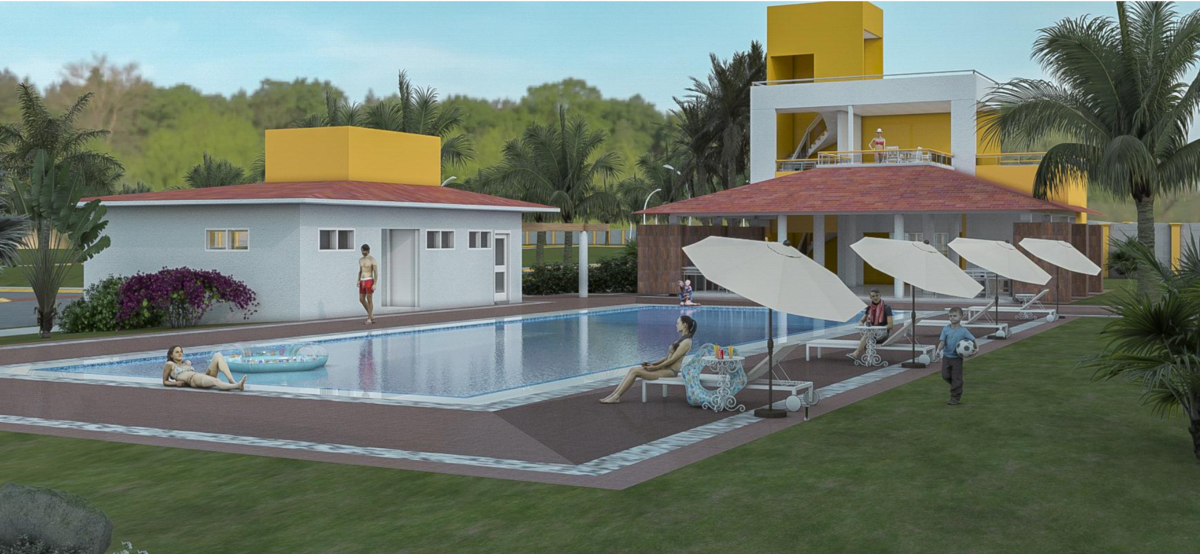 Imagen 4 de 6