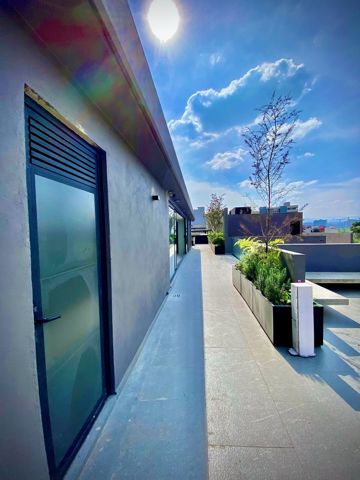 28 of 35: Roof garden