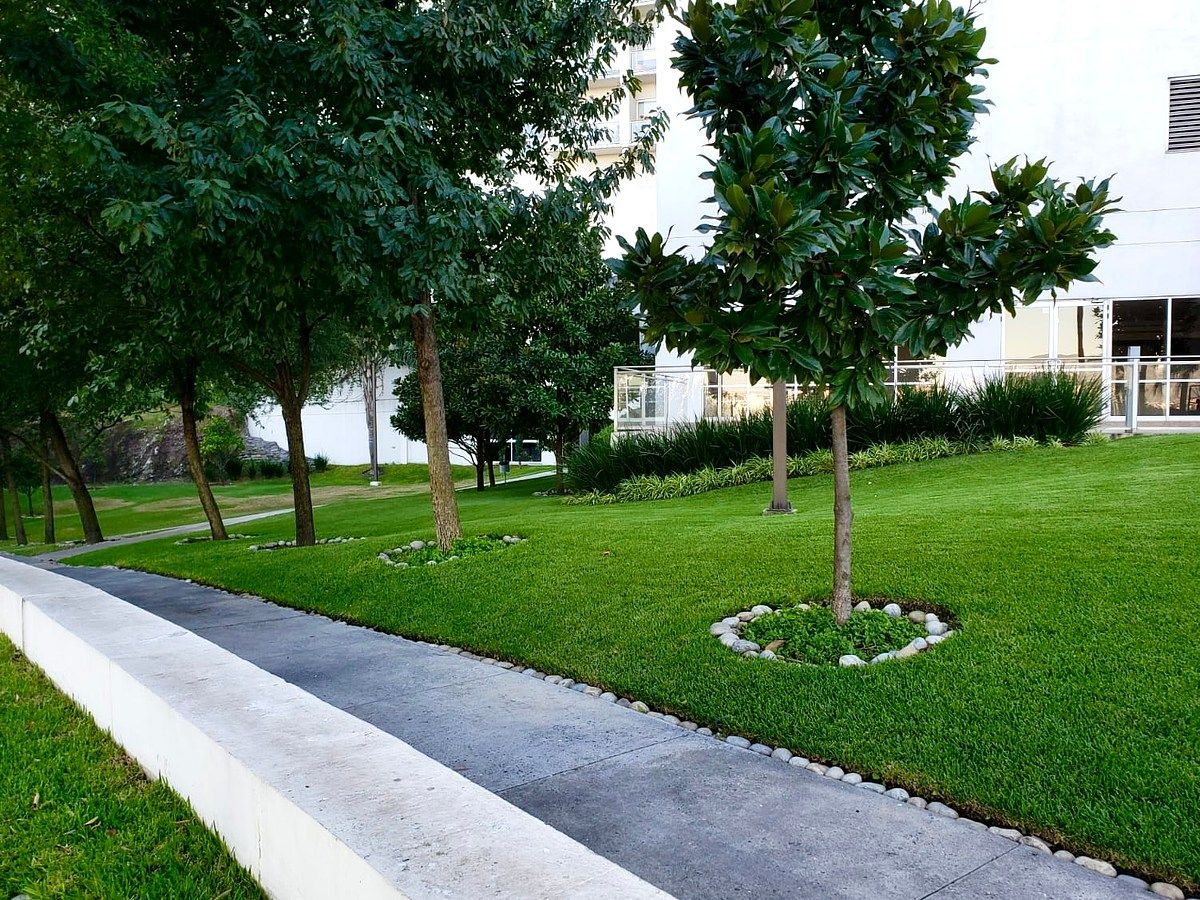 Departamento en Residencial Dinastía, Monterrey, foto 4 de 41