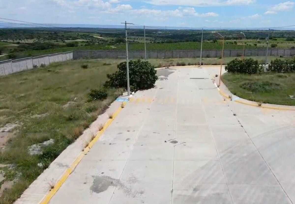 3 de 8