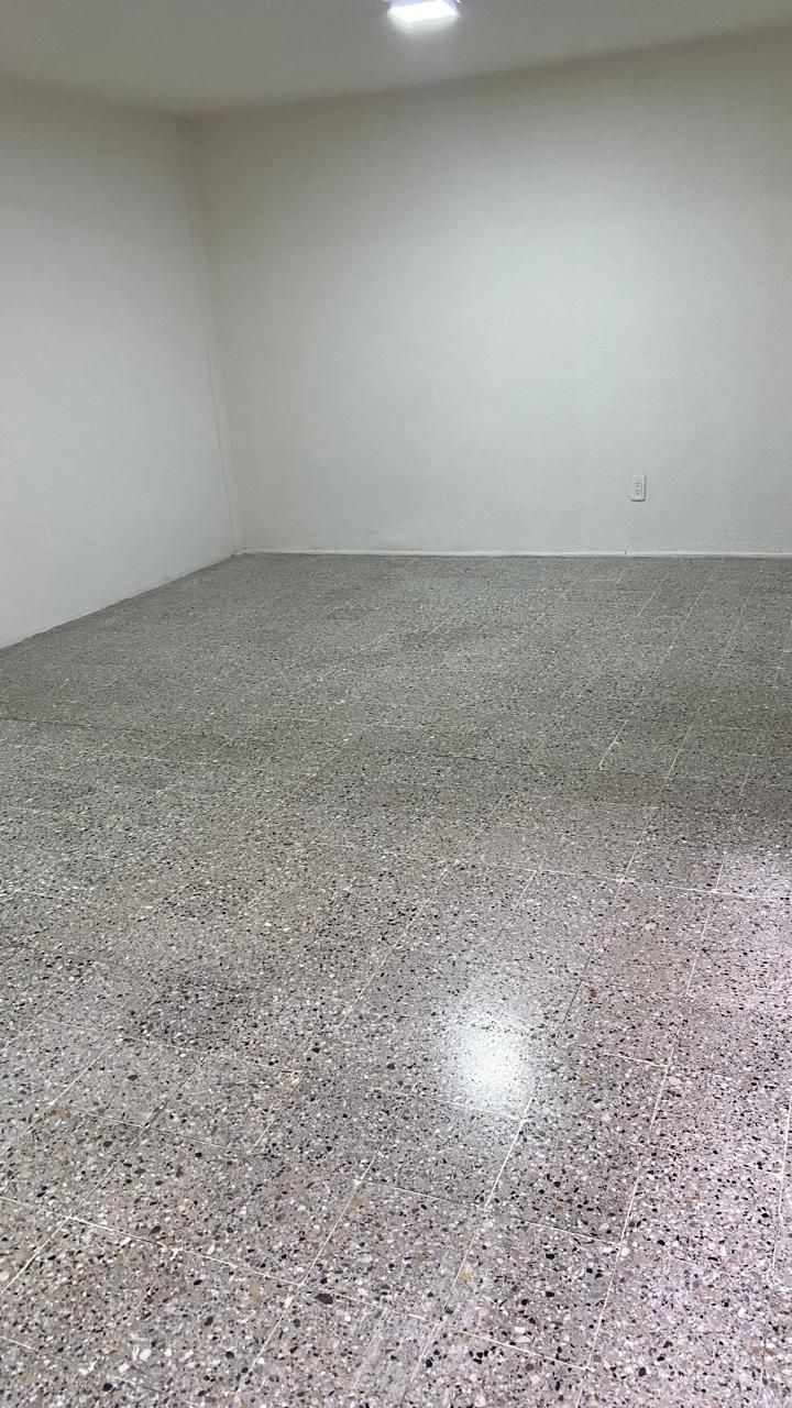 11 de 13
