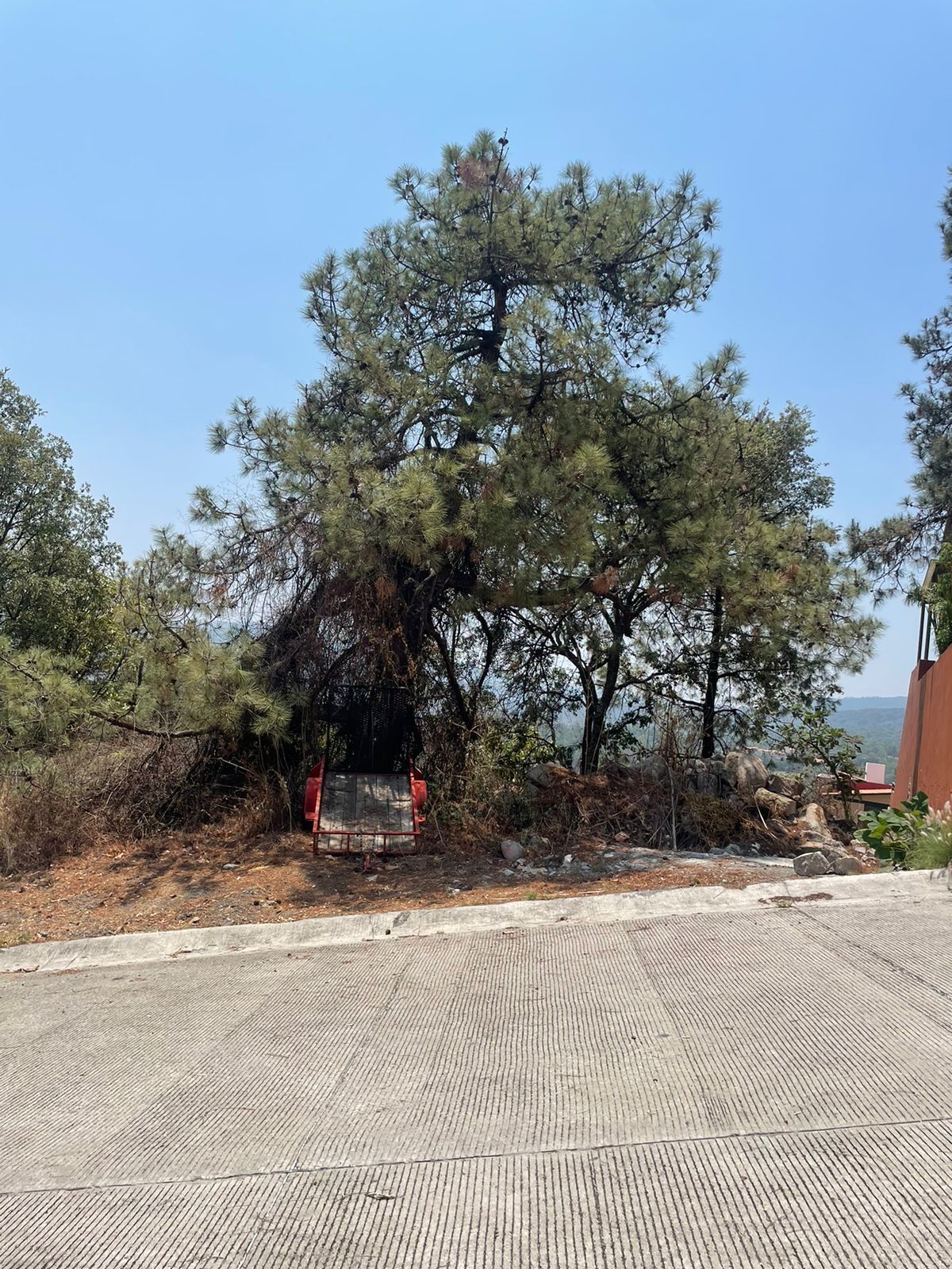 1 of 6