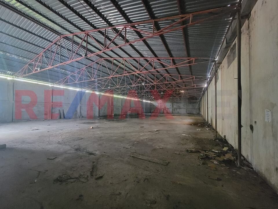 7 de 8