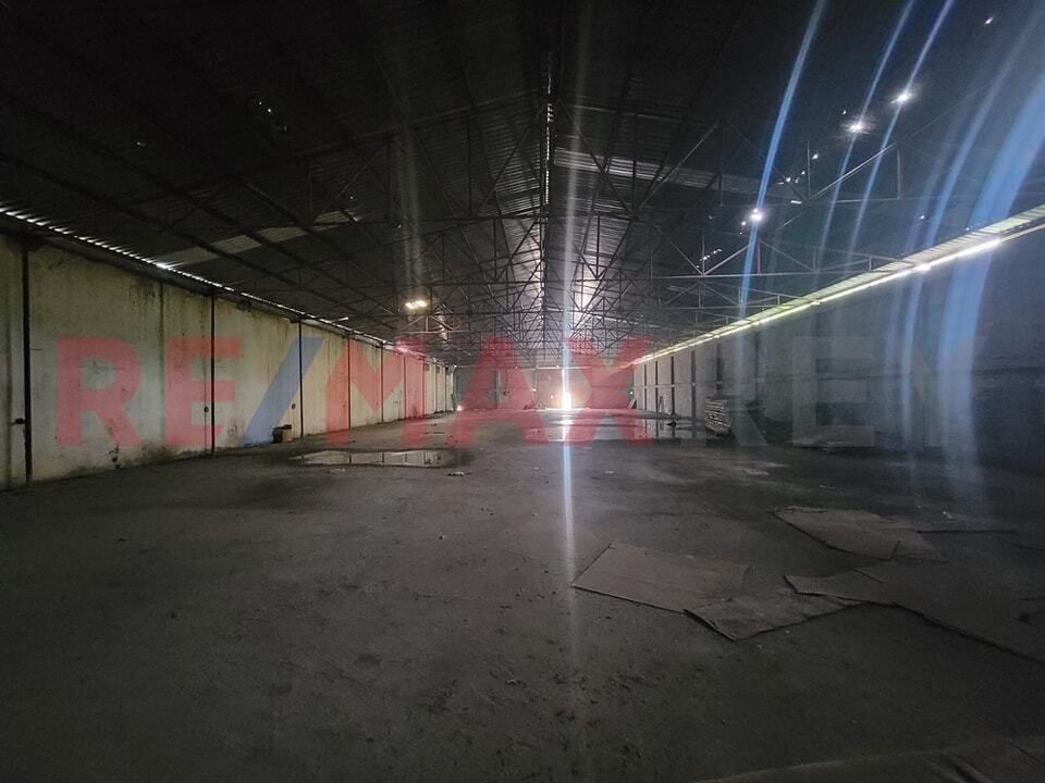 8 de 8