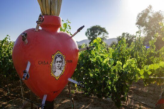 Terreno en Venta en Valle de Guadalupe a Espaldas de Casa Frida