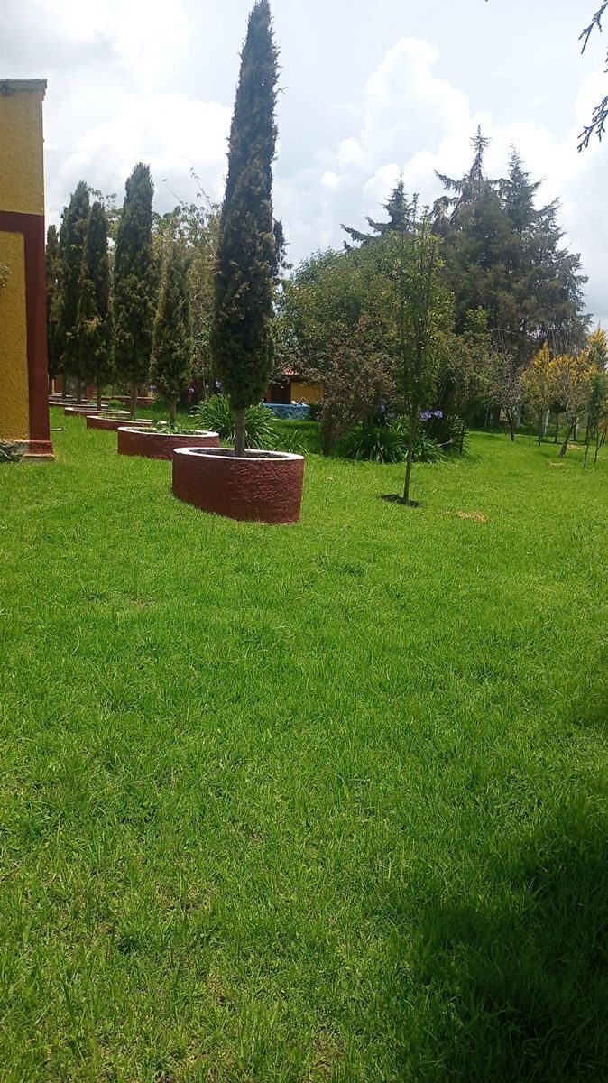 Imagen 6 de 10