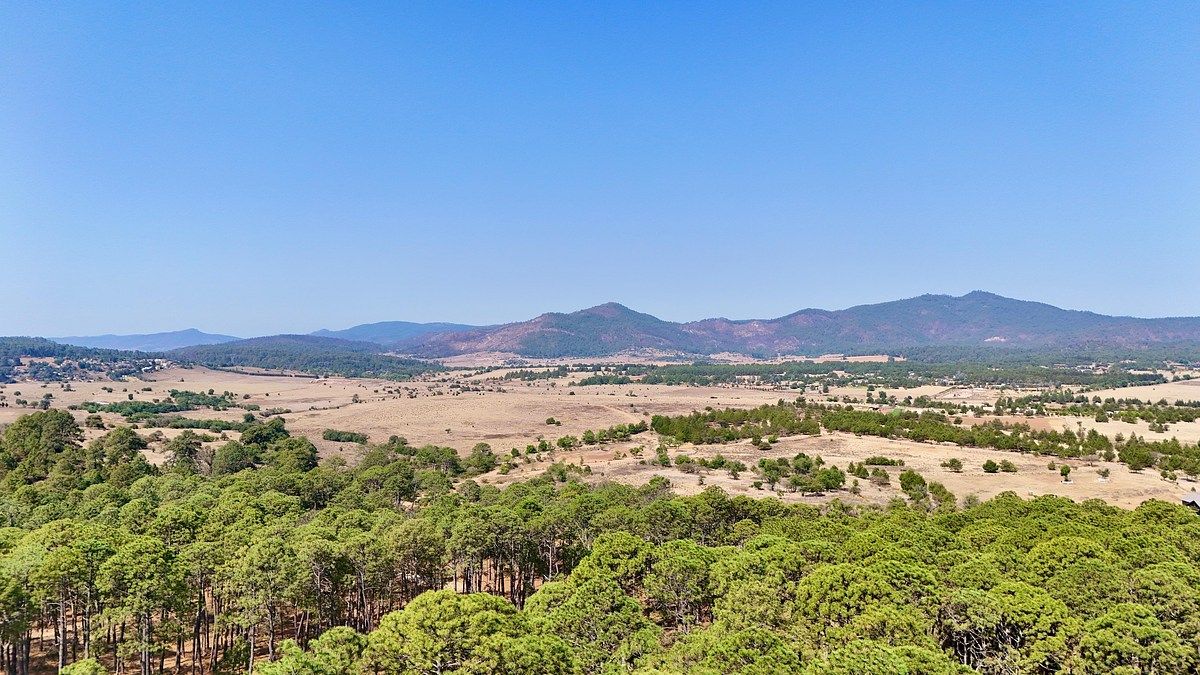 Lote em Los Espinos, Tapalpa, foto 5 de 15