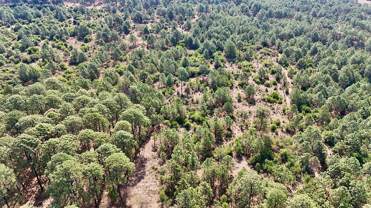 Lote em Los Espinos, Tapalpa, foto 4 de 15