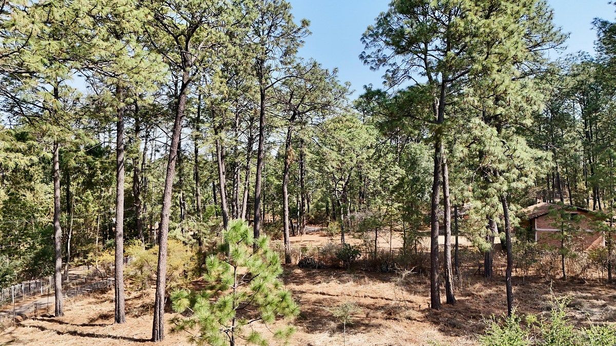 Terreno en venta | Los Espinos | a 200m de la entrada a los Reflejos | Tapalpa, foto 1 de 15