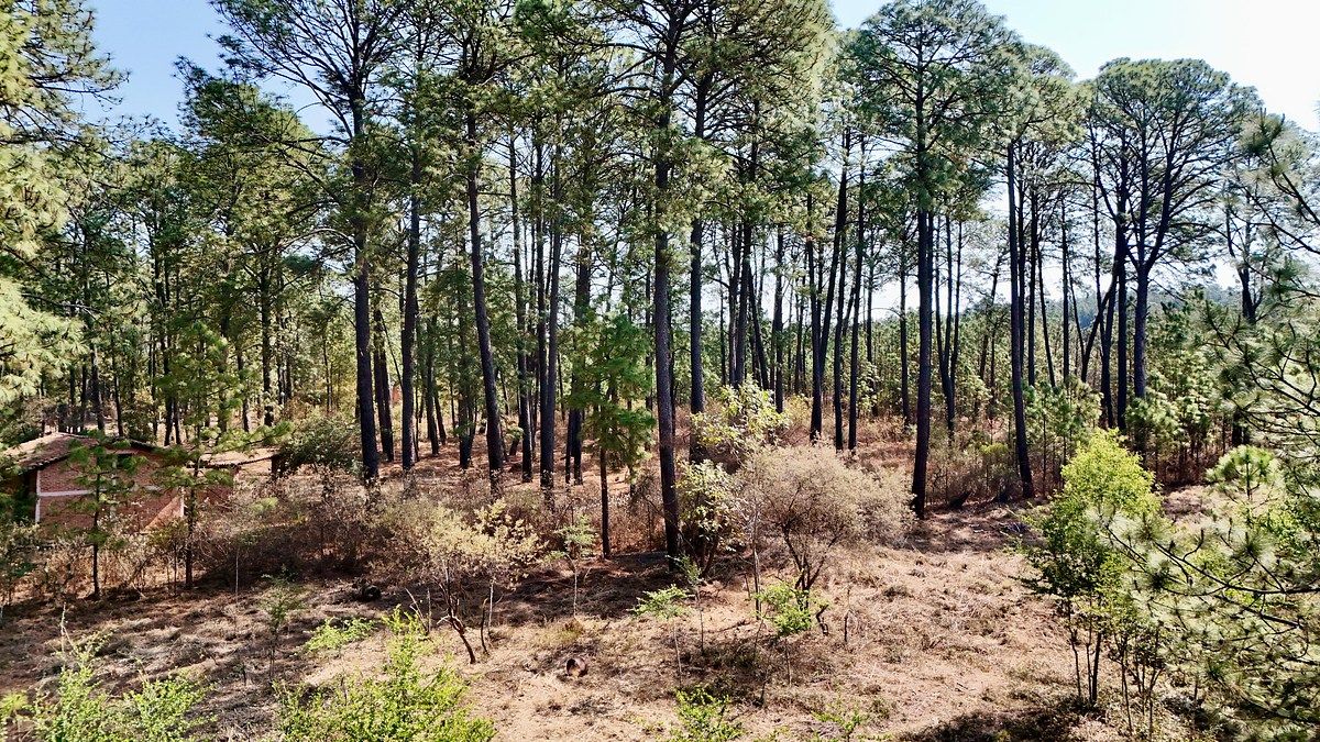 Lote em Los Espinos, Tapalpa, foto 7 de 15