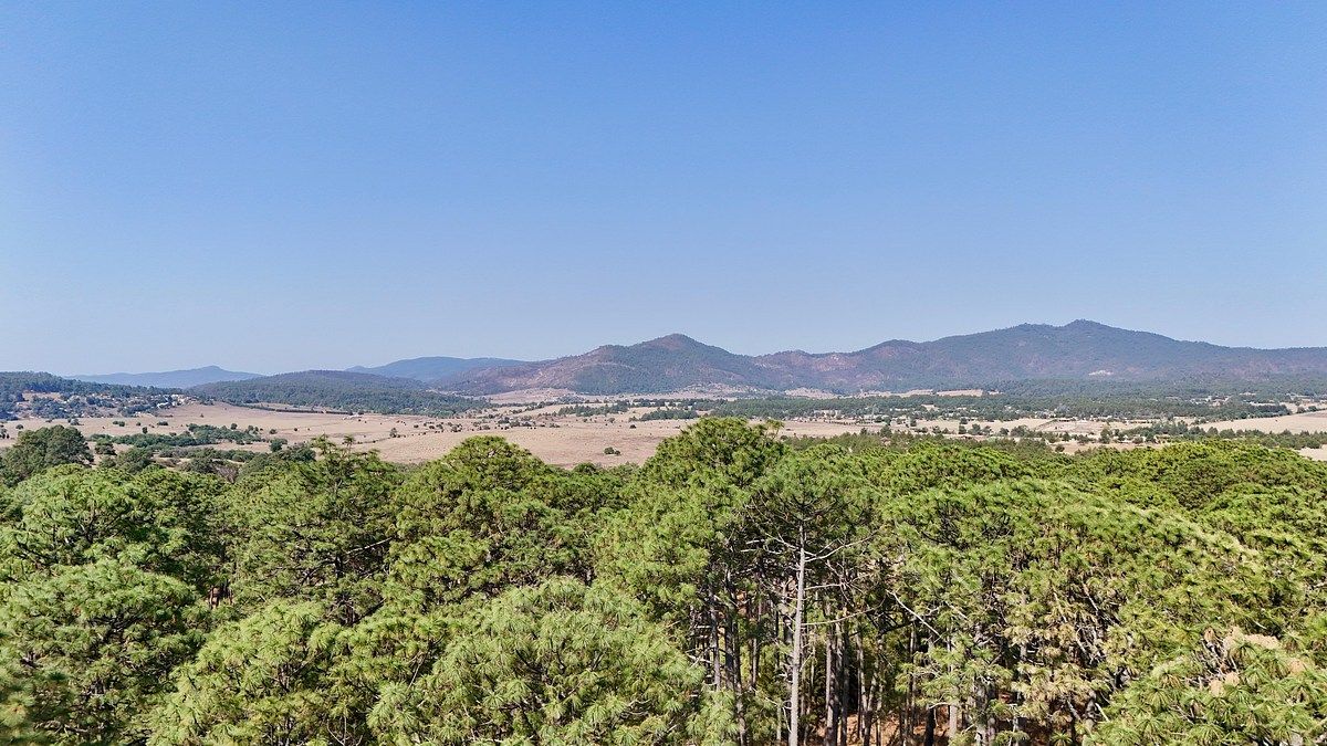 Lote em Los Espinos, Tapalpa, foto 8 de 15