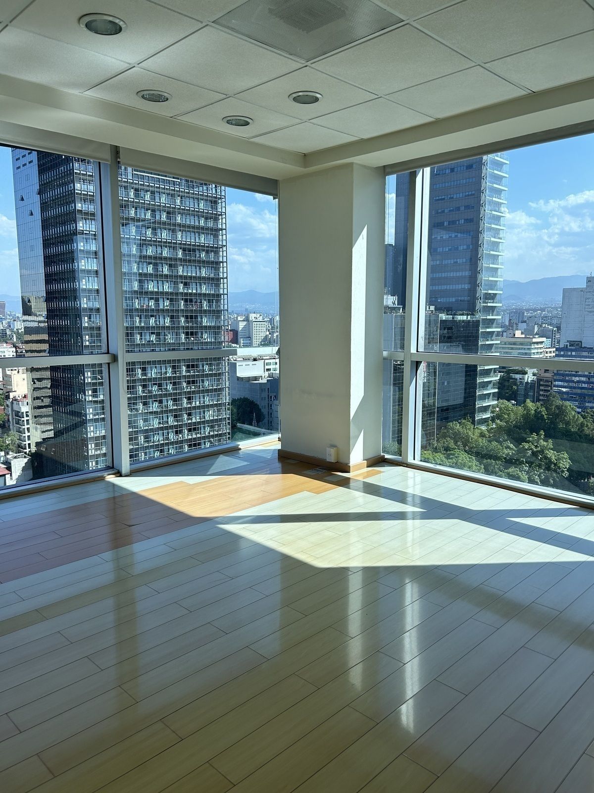 Oficina en Paseo de la reforma