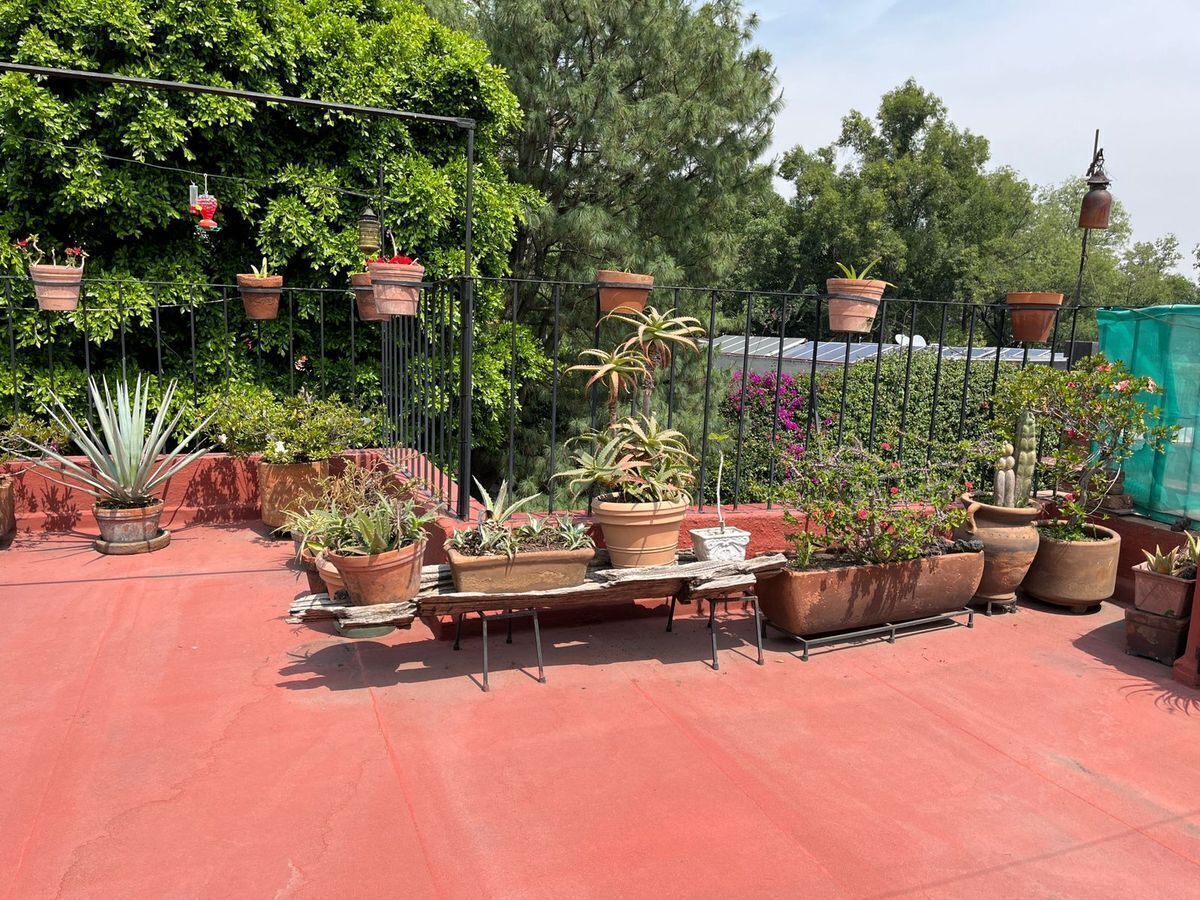 3 de 24: Roof Garden