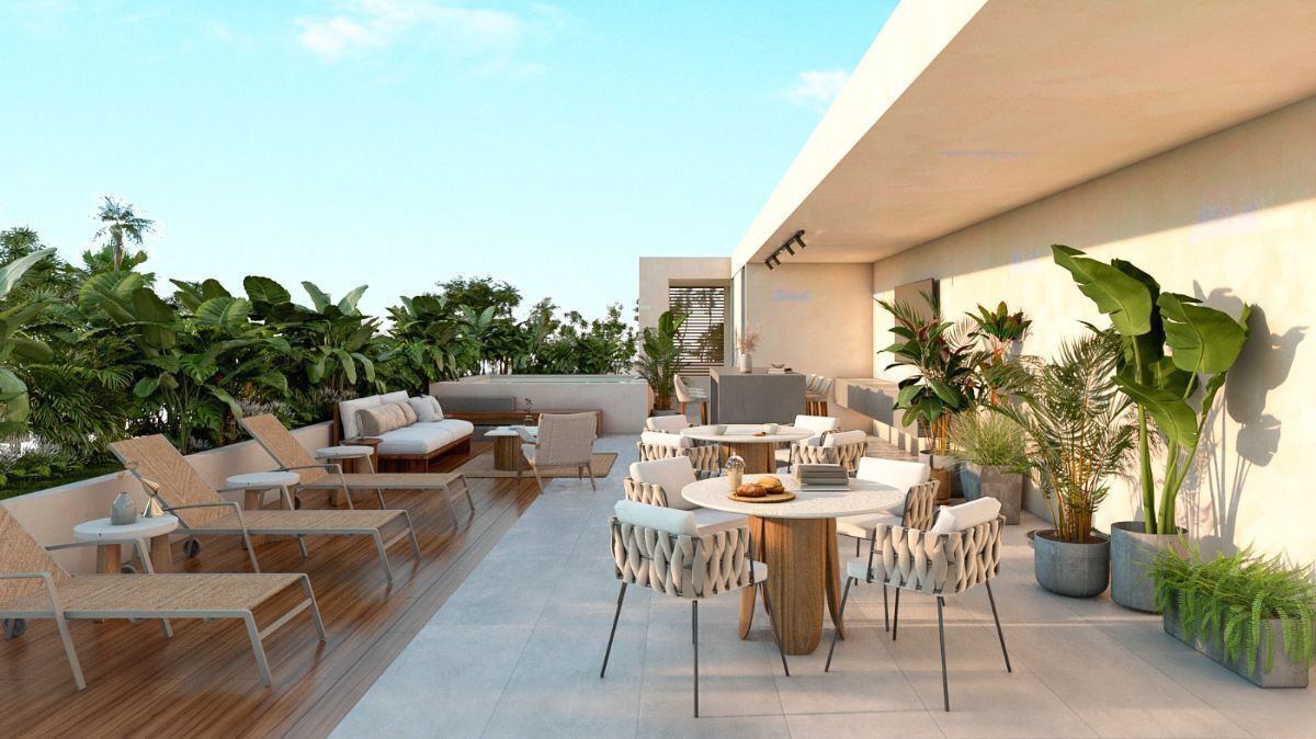 Roof top del desarrollo