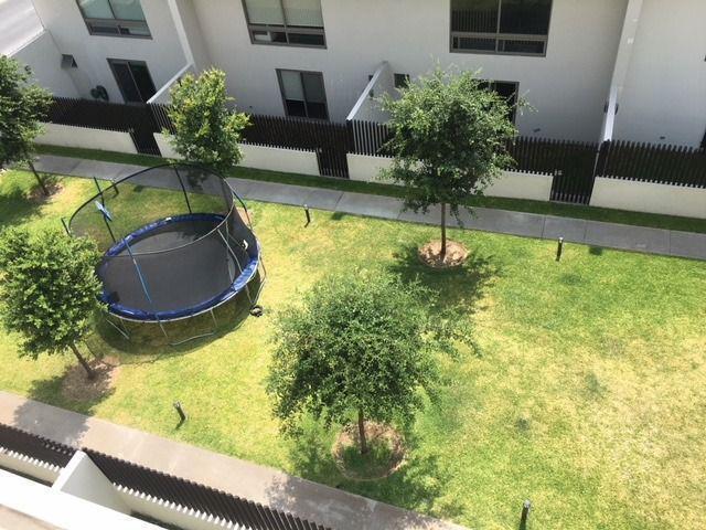 17 de 17