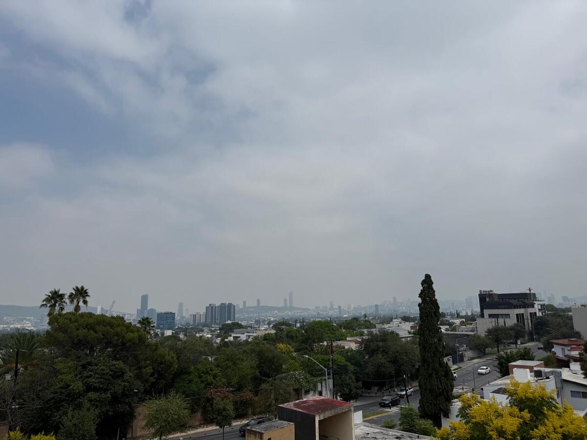 16 de 17