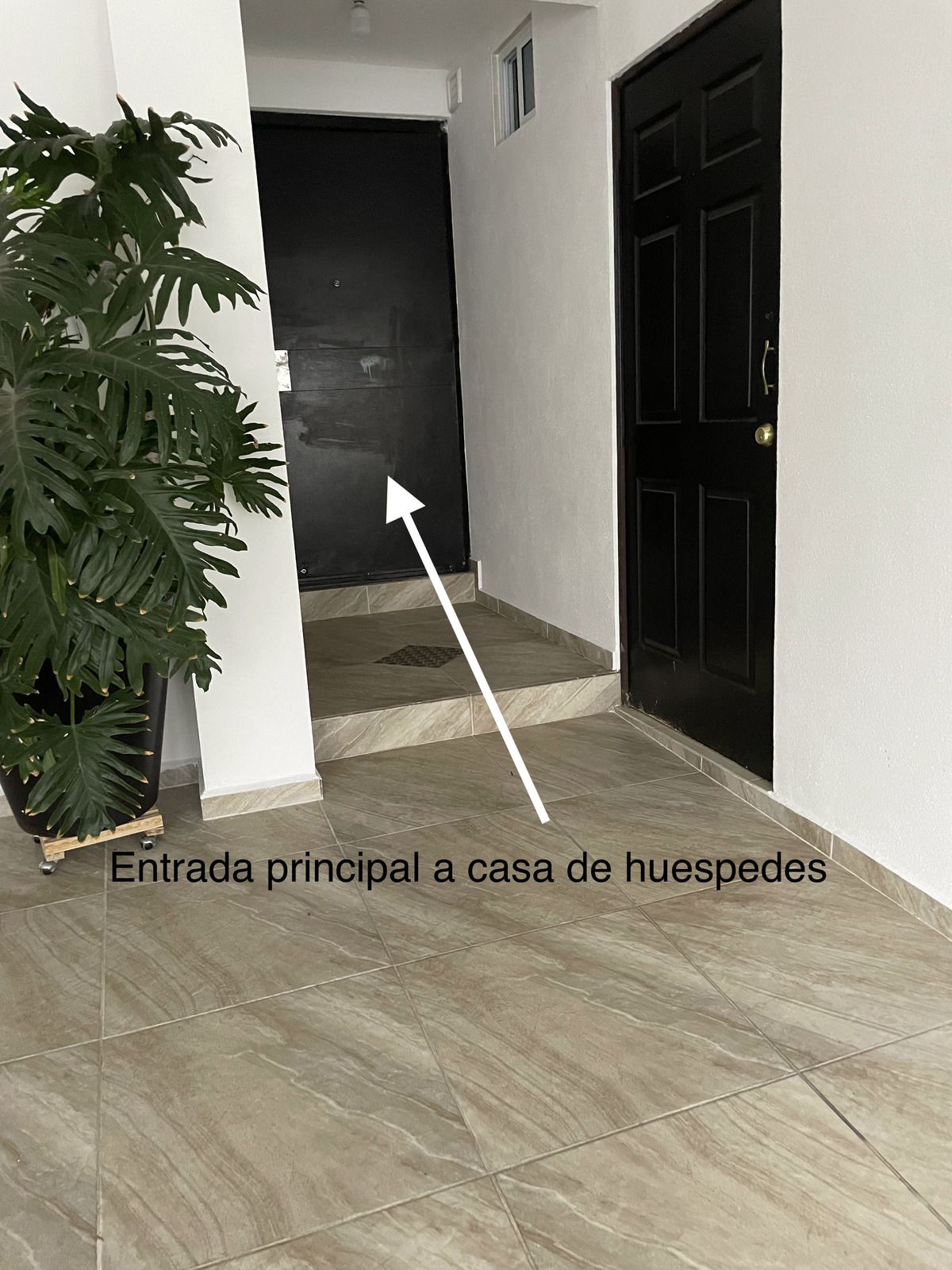 3 de 28: Entrada principal