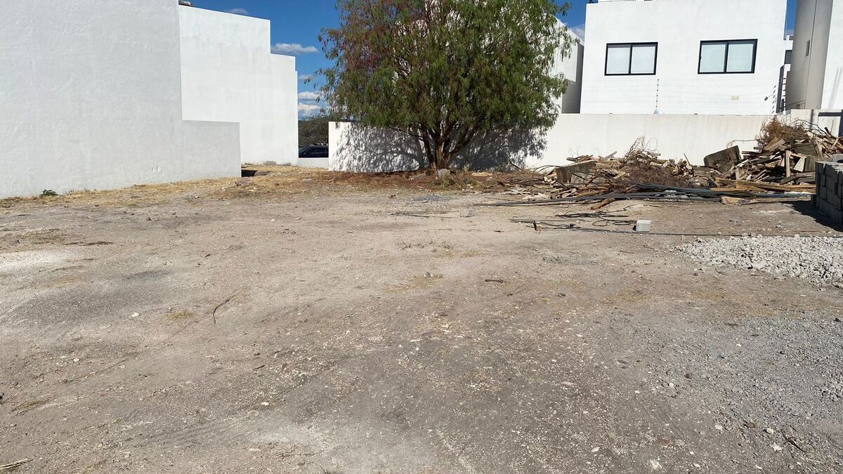 Imagen 7 de 7
