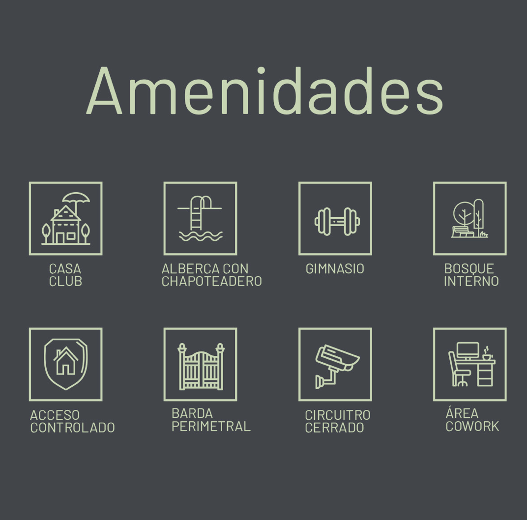 Imagen 6 de 9