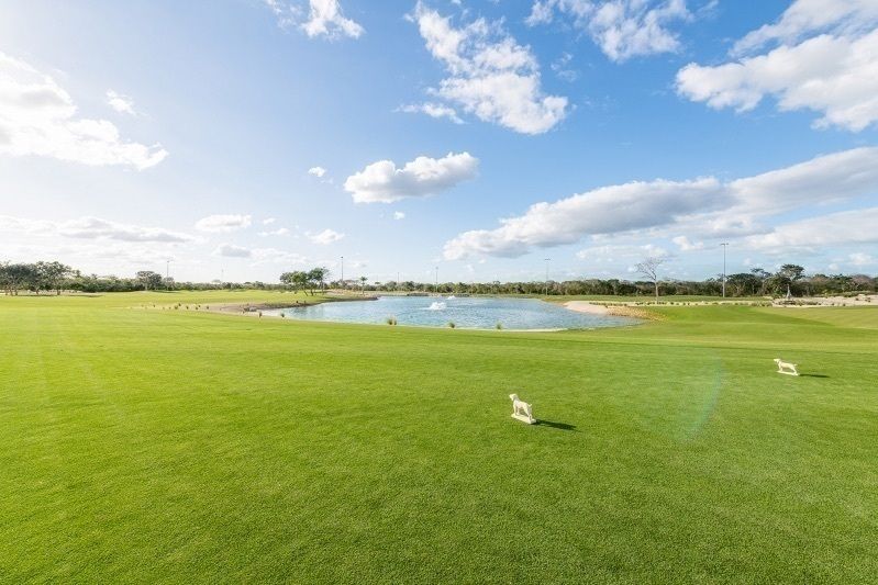 Campo de Golf de 9 Hoyos