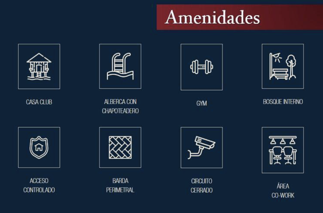 Imagen 2 de 4