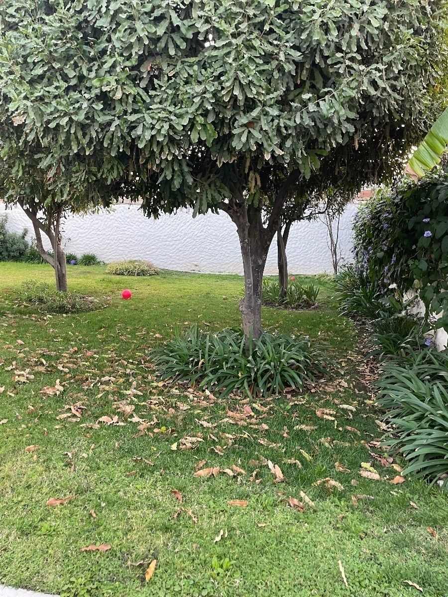 3 de 17