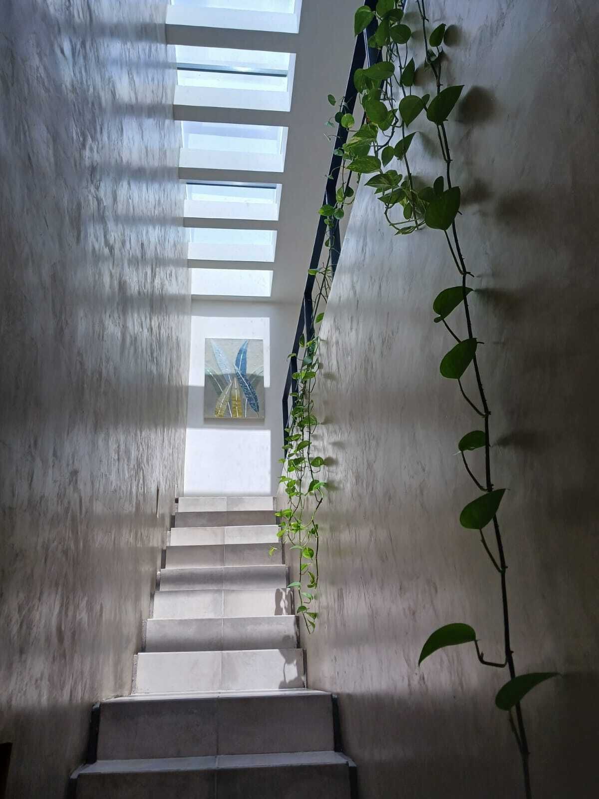 House in Gated Community in Cholul, Mérida, photo 15 of 19