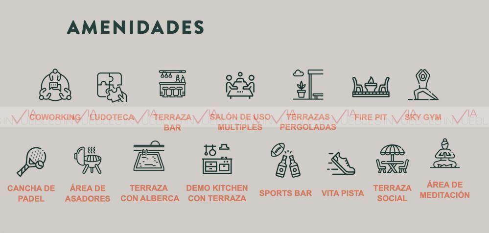 5 de 14