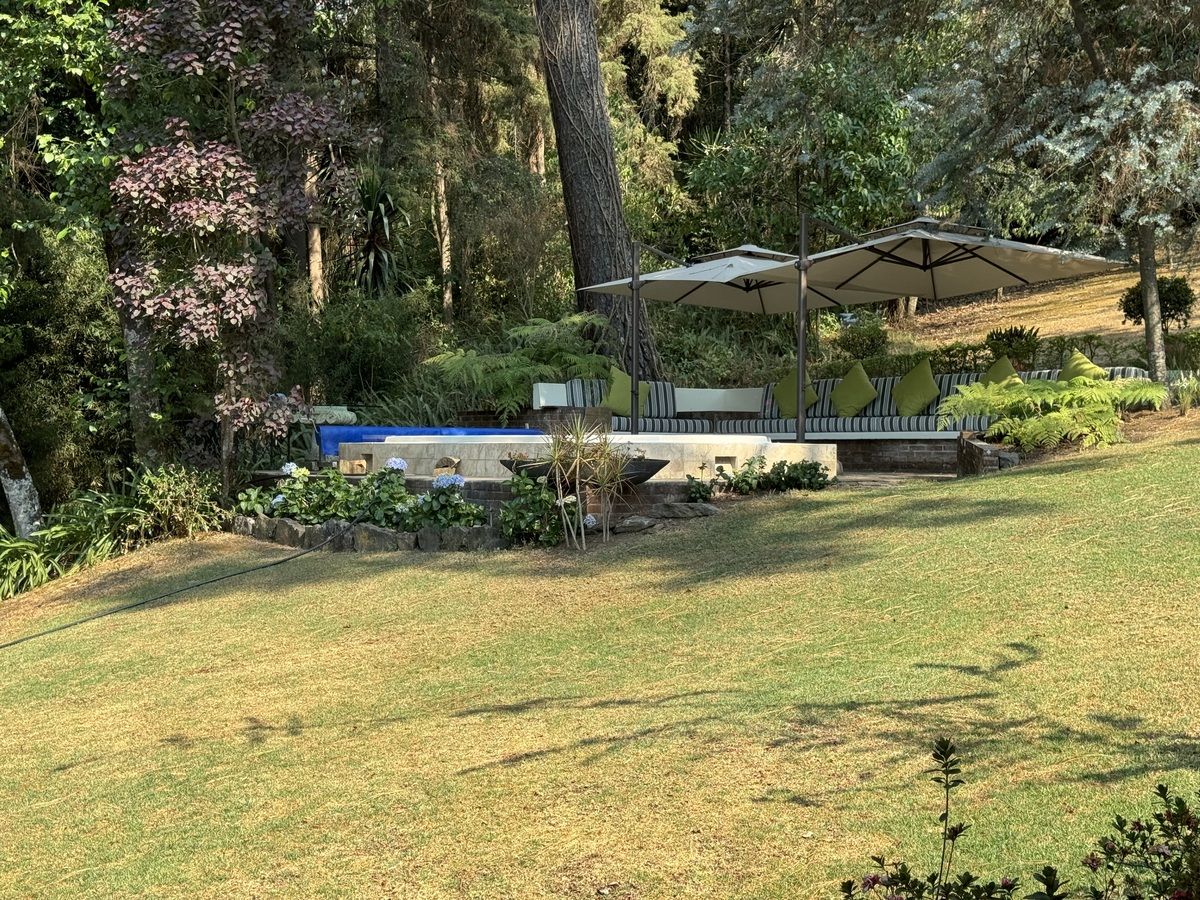 Jardín y Jacuzzi