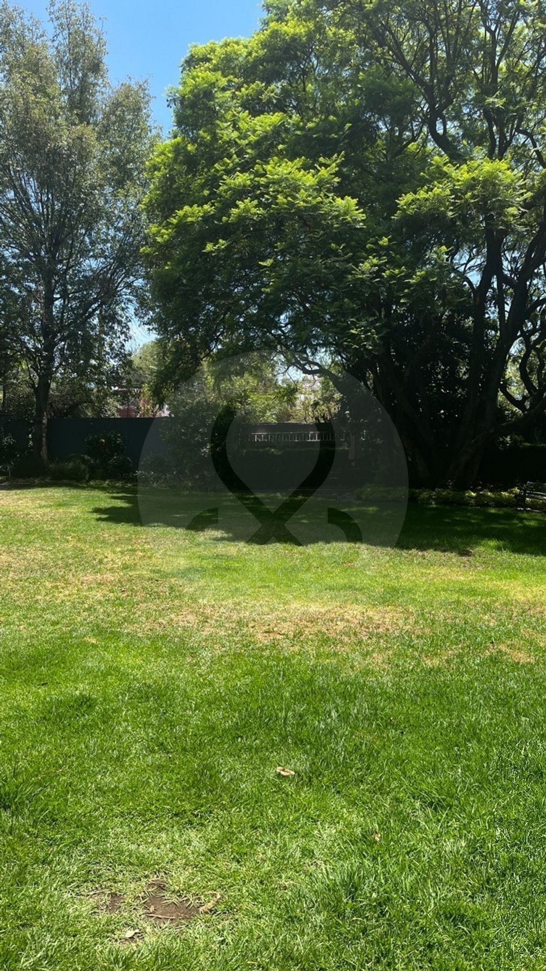 20 de 21