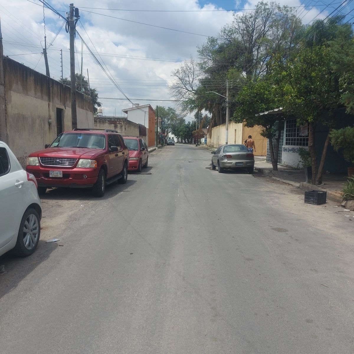 6 de 12