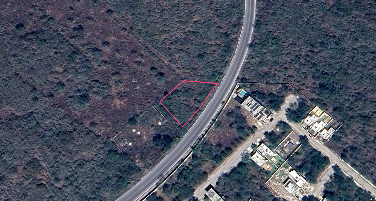 Terreno Comercial sobre Carretera Chicxulub Puerto - foto 1