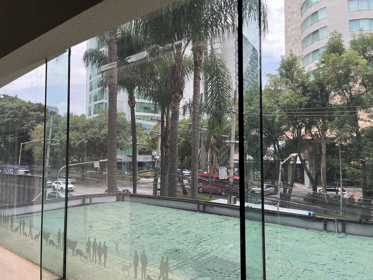 5 de 11: vistas desde la oficina