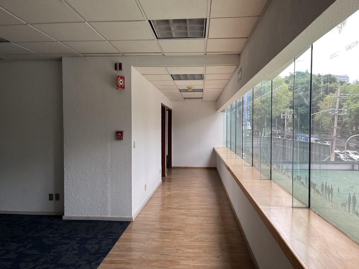 1 de 11: vistas desde la oficina