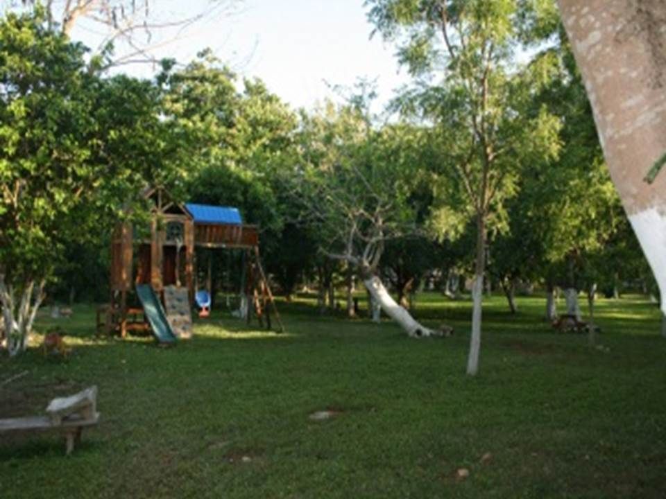 8 de 40