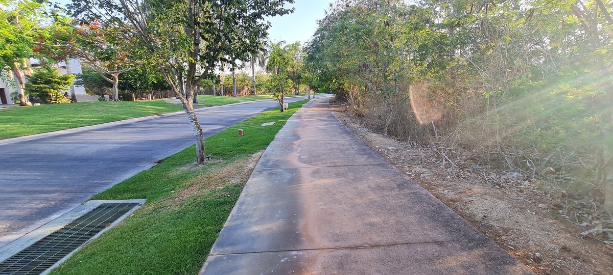 2 of 8: FRENTE LOTE 82 AVENIDA