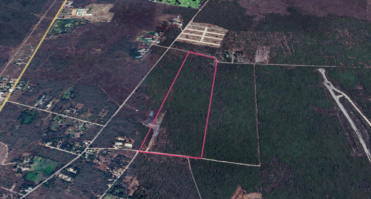 Terreno en Conkal para desarrollar - foto 1