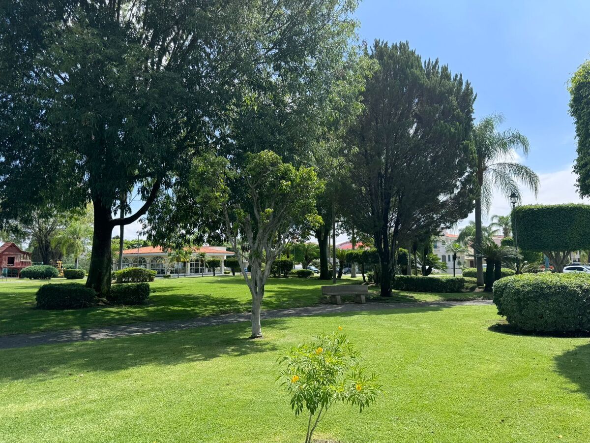 5 de 10