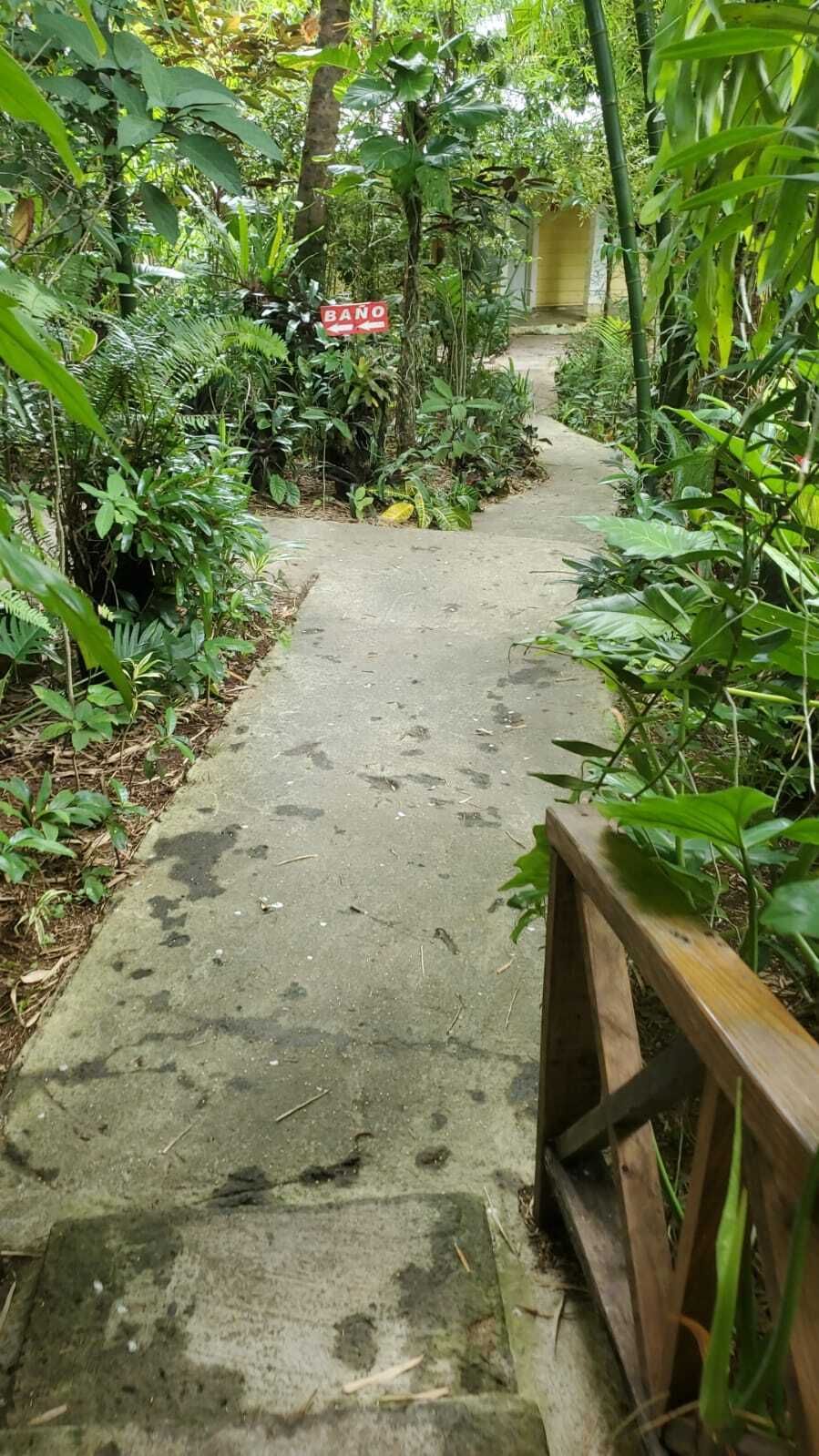 1 de 1