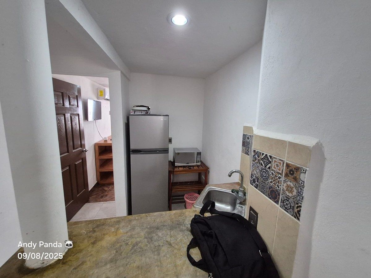 Apartment in Francisco de Montejo, Mérida, photo 4 of 10