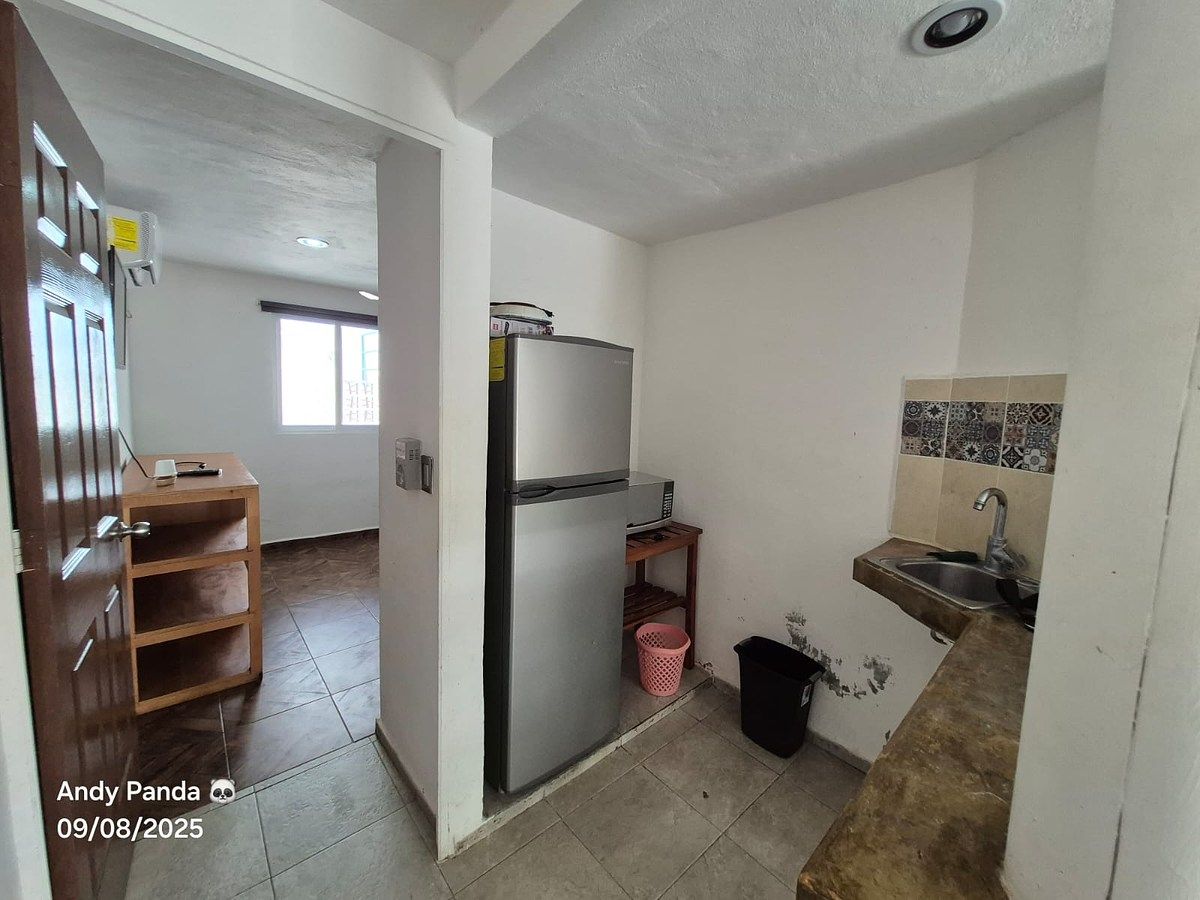 Apartment in Francisco de Montejo, Mérida, photo 3 of 10