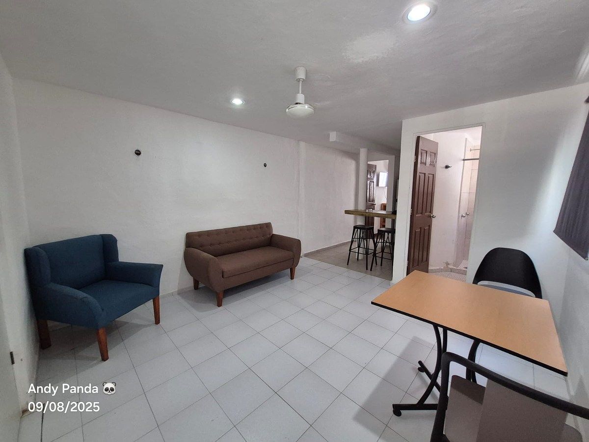 Apartment in Francisco de Montejo, Mérida, photo 2 of 10