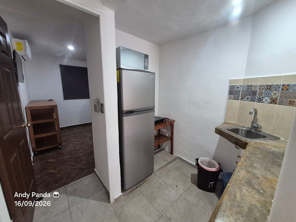 Apartment in Francisco de Montejo, Mérida, photo 5 of 14