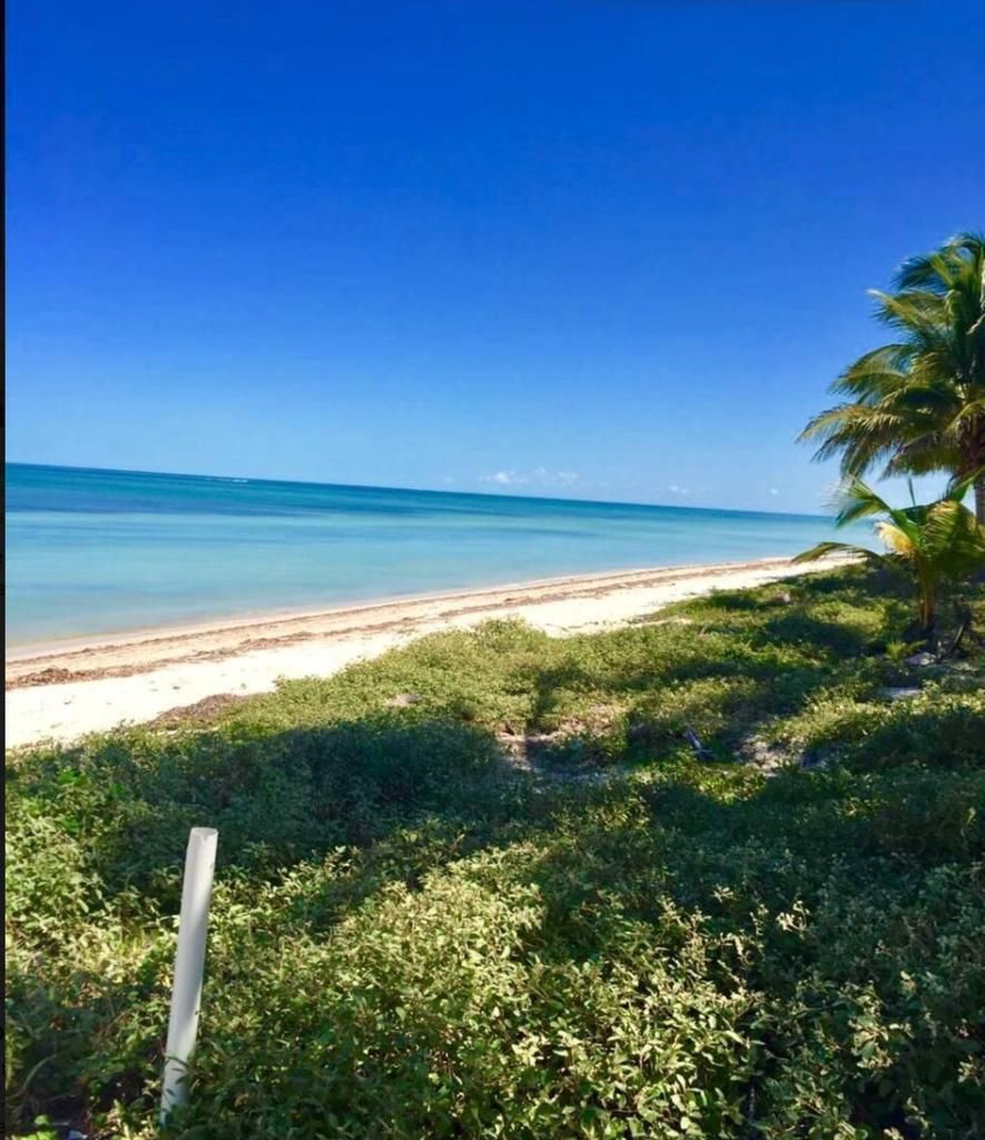 Terreno en Venta, Champoton, foto 1 de 4