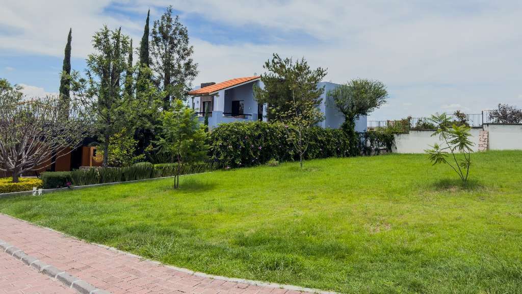 2 de 8