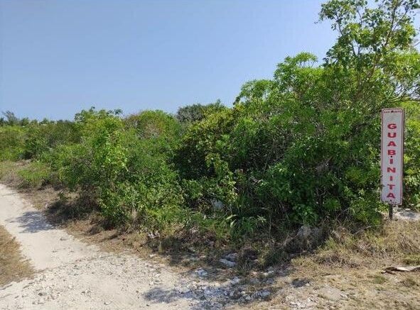 TERRENO DE PLAYA EN VENTA MERIDA DZEMUL YUCATAN - foto 3