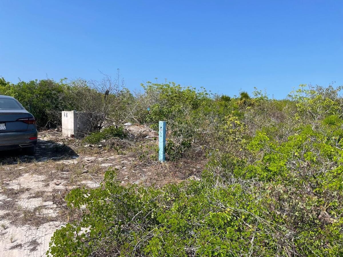 TERRENO DE PLAYA EN VENTA MERIDA DZEMUL YUCATAN - foto 2