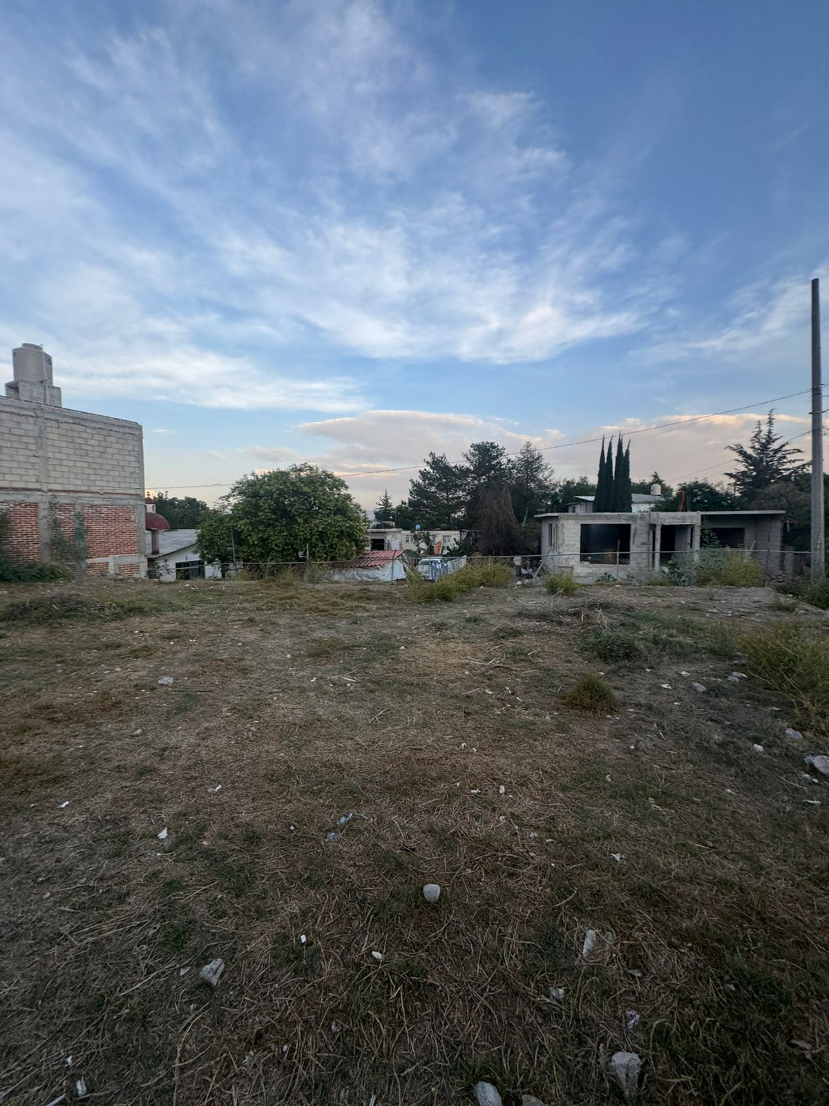 25 de 29