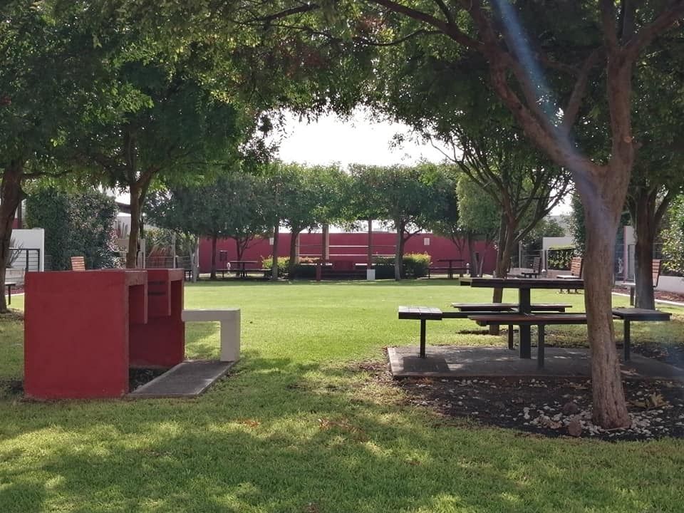 14 de 17